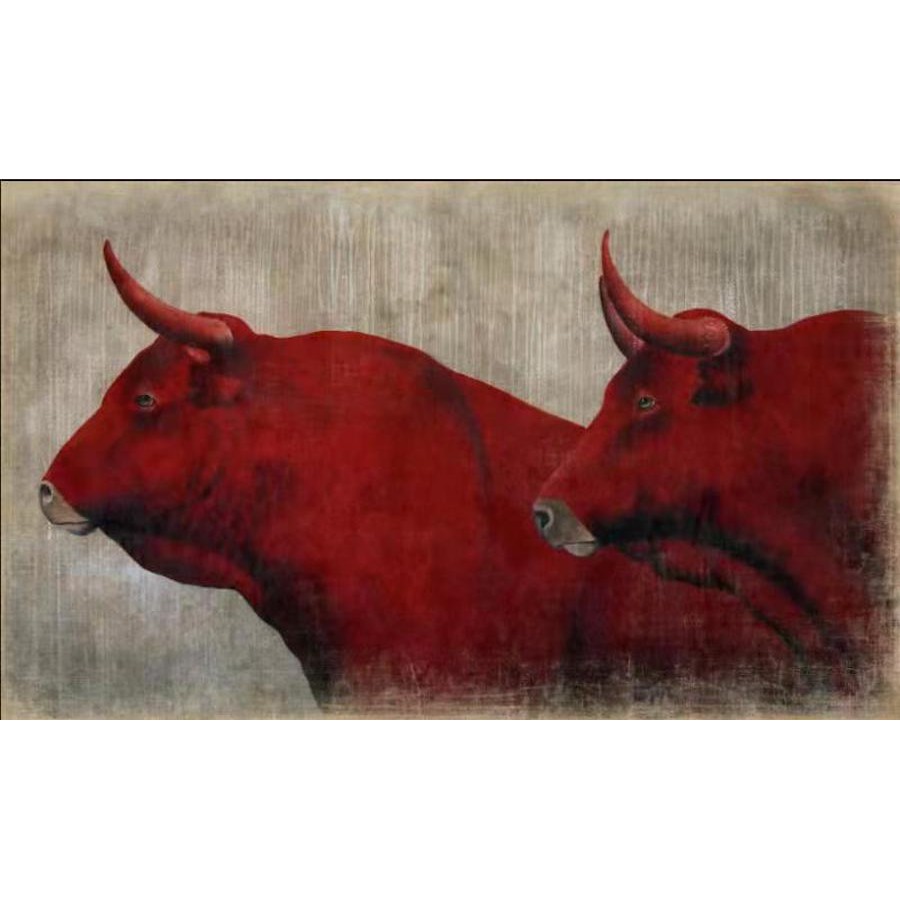 RED BULLS (120x70cm)